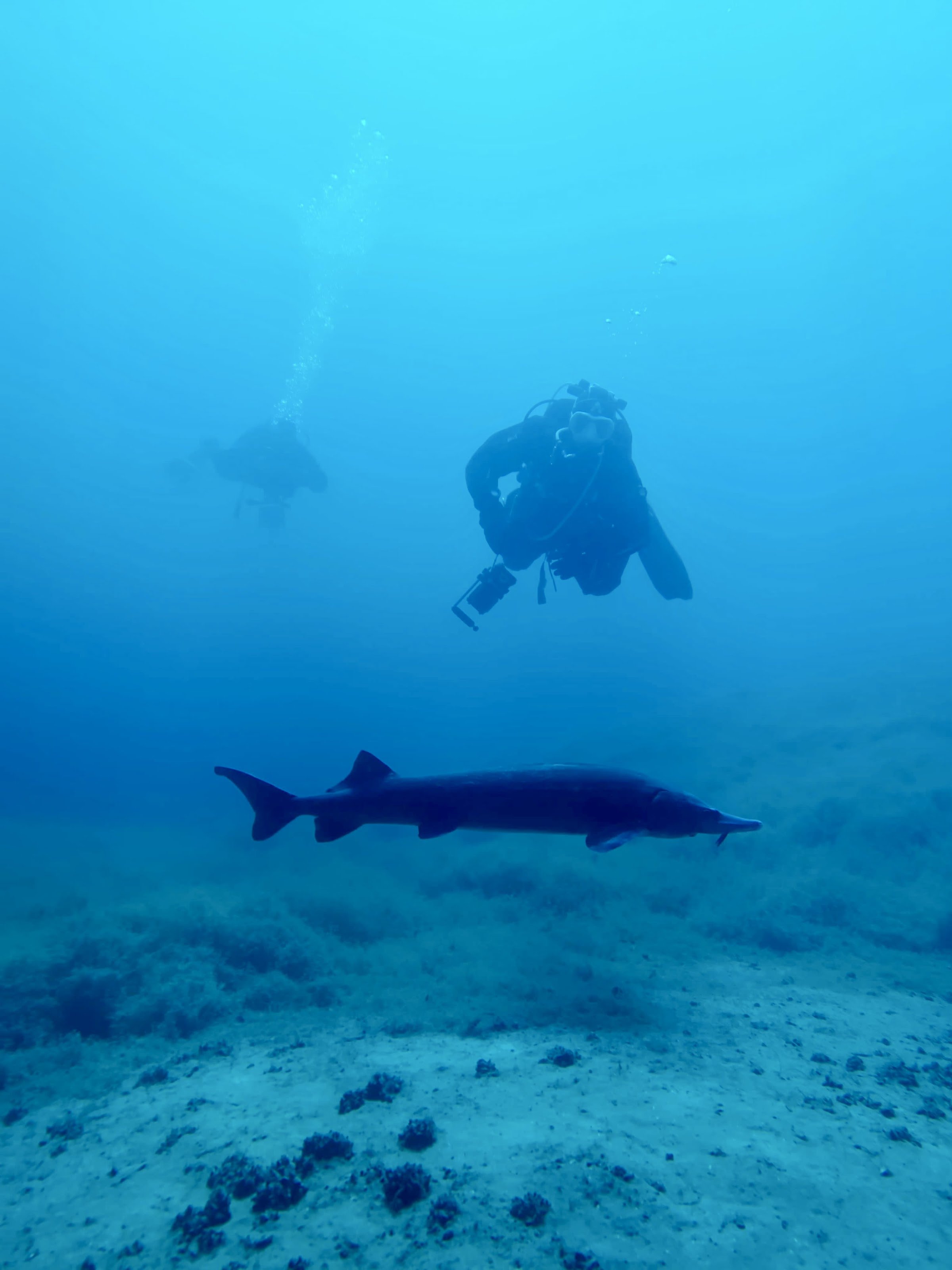 Tauchbasis Kreidesee Hemmoor